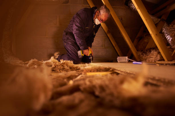 Best Spray Foam Insulation  in Blue Mound, IL